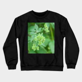 Green seeds poofy plant Crewneck Sweatshirt